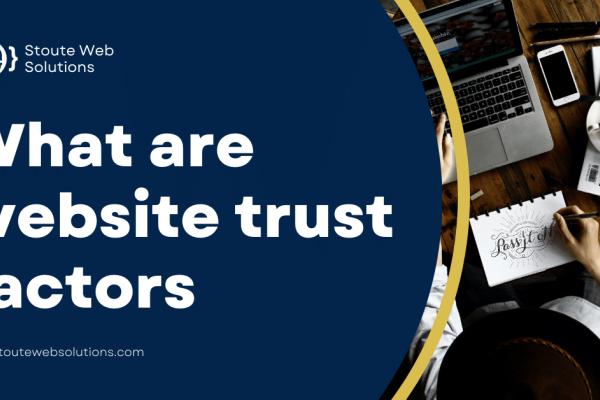 What are website trust factors